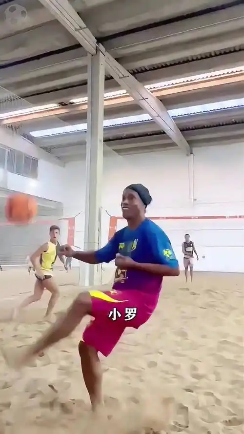 提供了重要