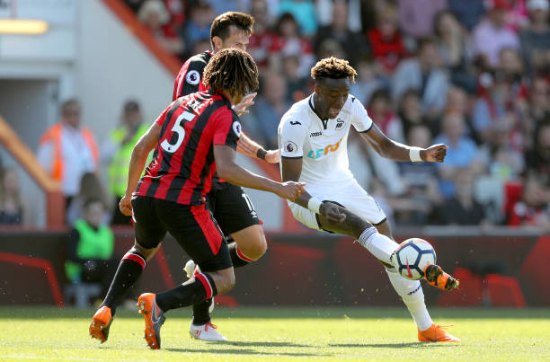 他们的后卫 他们的后卫